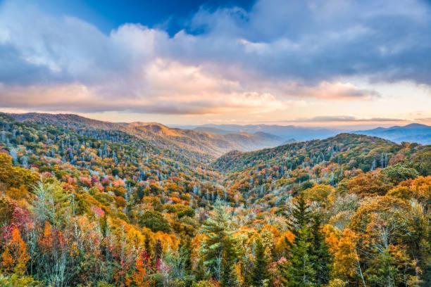 Breathtaking Sunsets, Views, Pool, Heaven Awaits! Villa Gatlinburg Exterior foto
